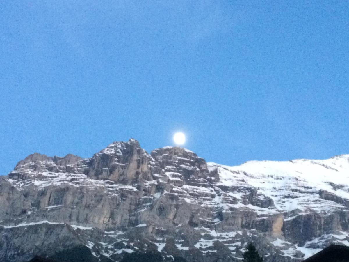 Luxury, New - Amazing Views Grindelwald Eiger Jungfrau Moench 아파트 외부 사진