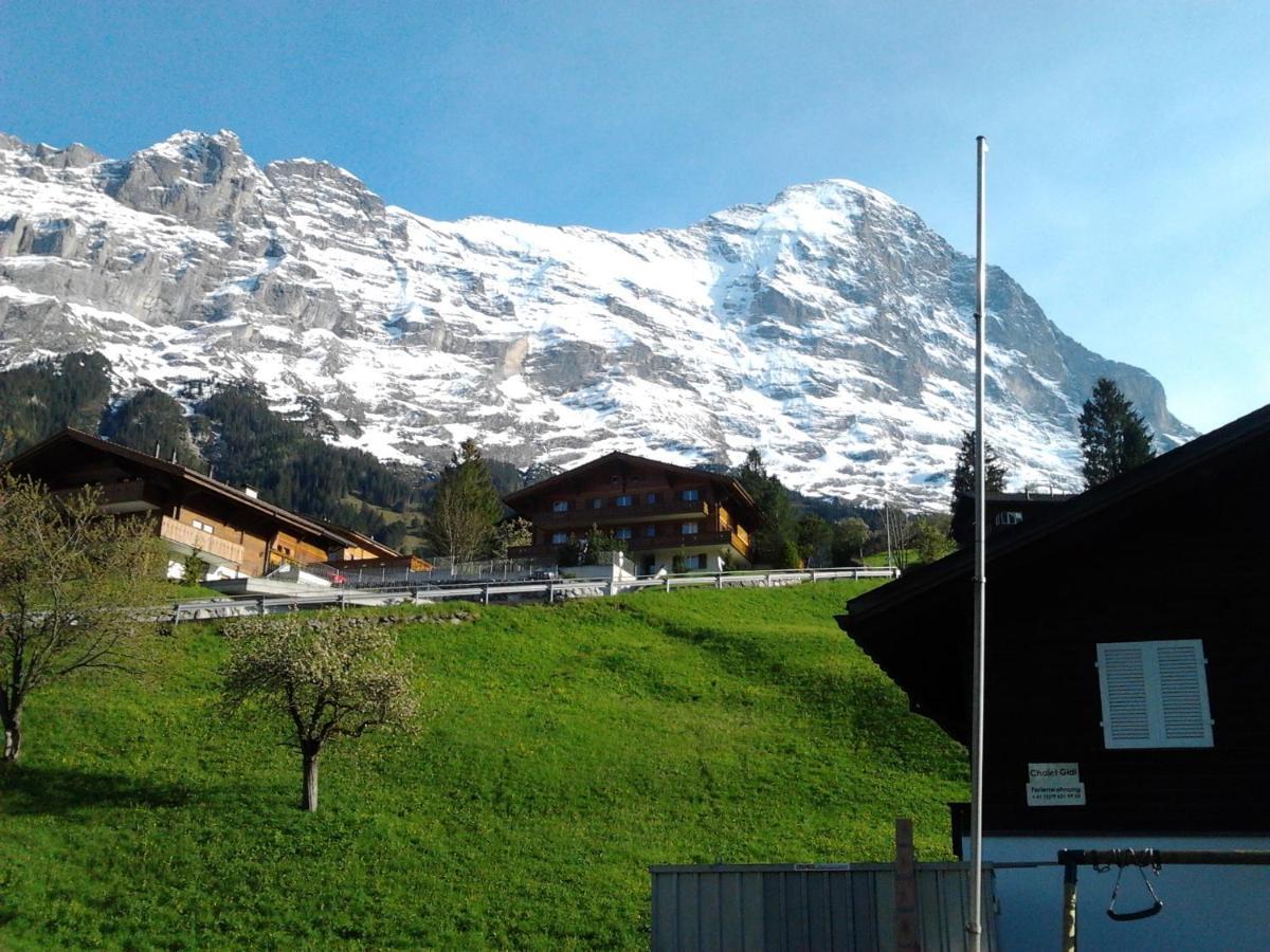 Luxury, New - Amazing Views Grindelwald Eiger Jungfrau Moench 아파트 외부 사진