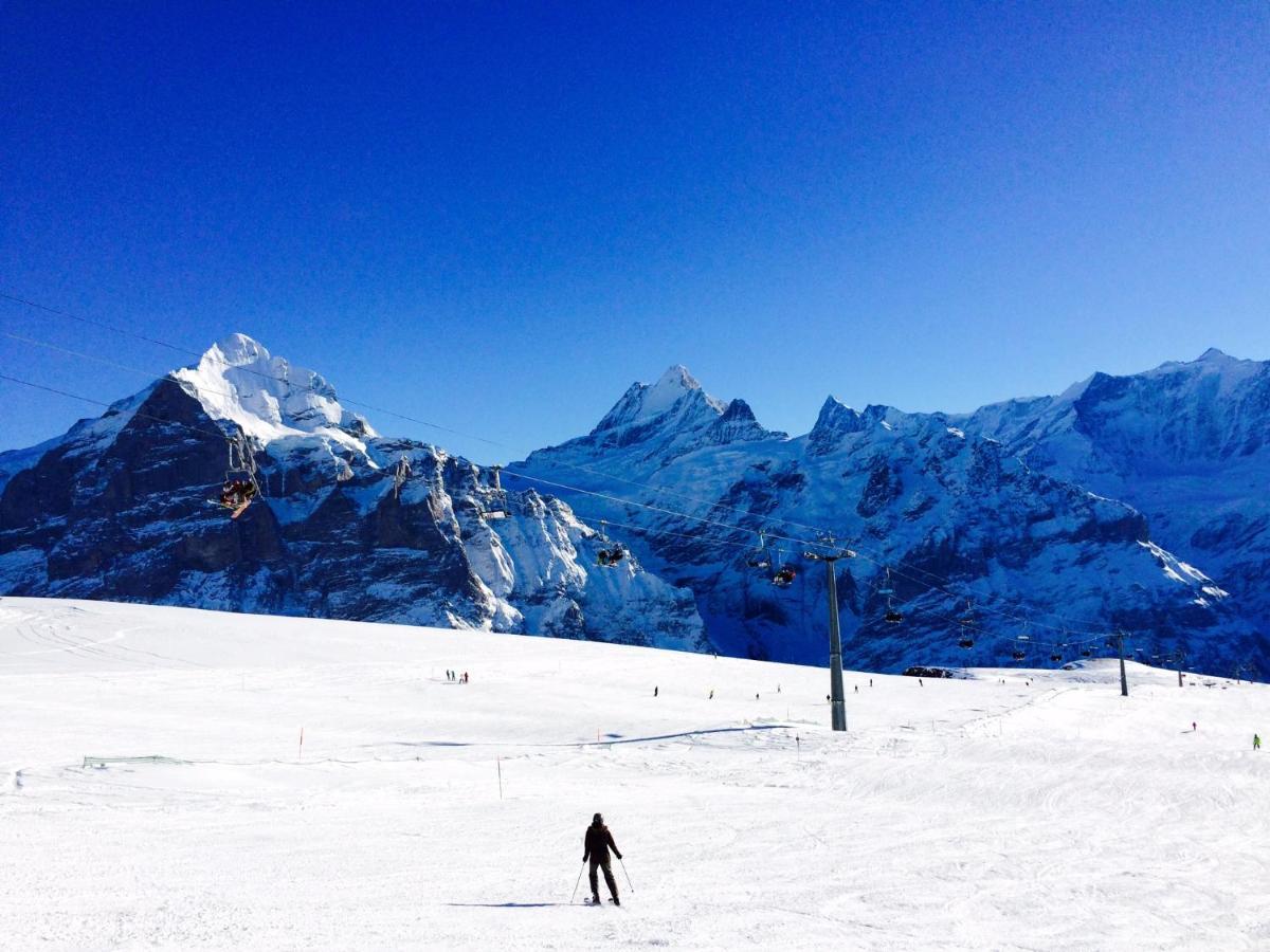 Luxury, New - Amazing Views Grindelwald Eiger Jungfrau Moench 아파트 외부 사진