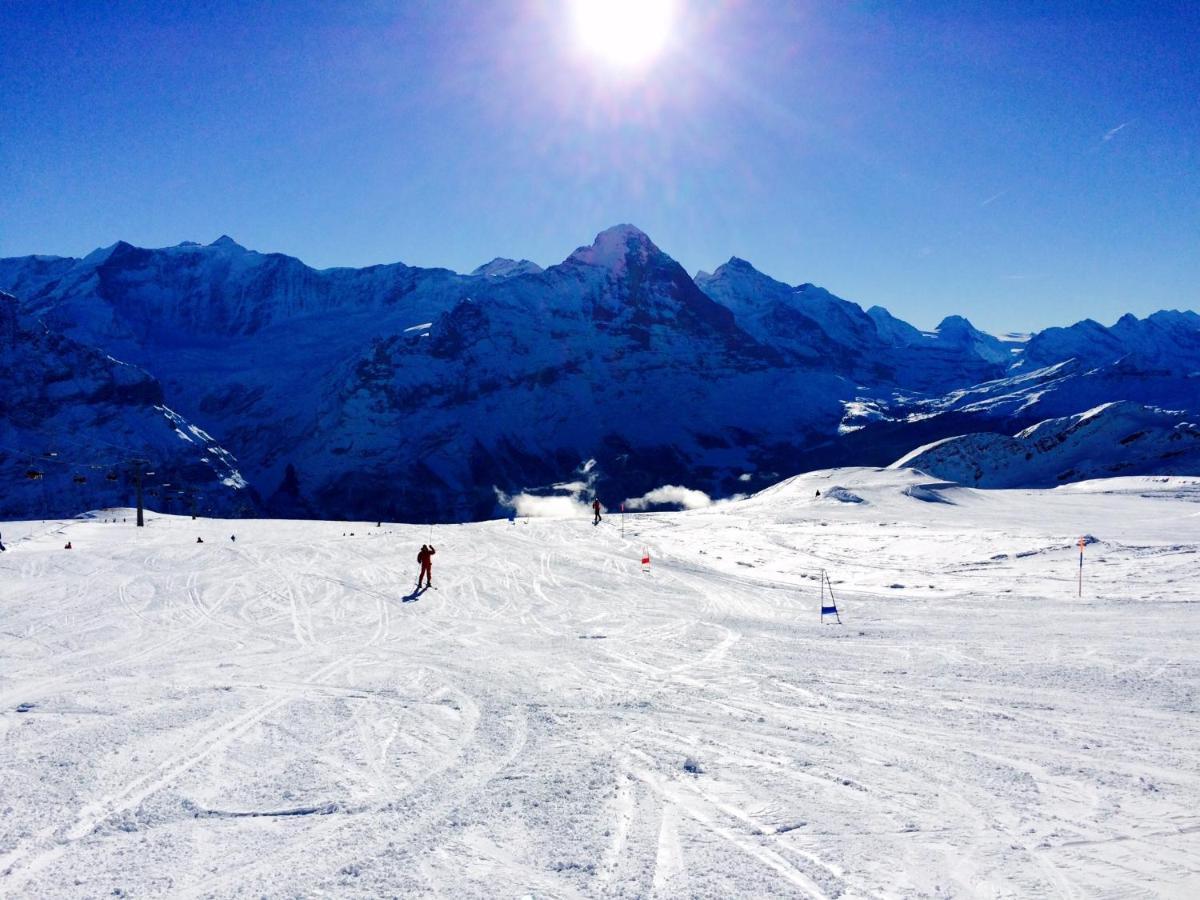 Luxury, New - Amazing Views Grindelwald Eiger Jungfrau Moench 아파트 외부 사진