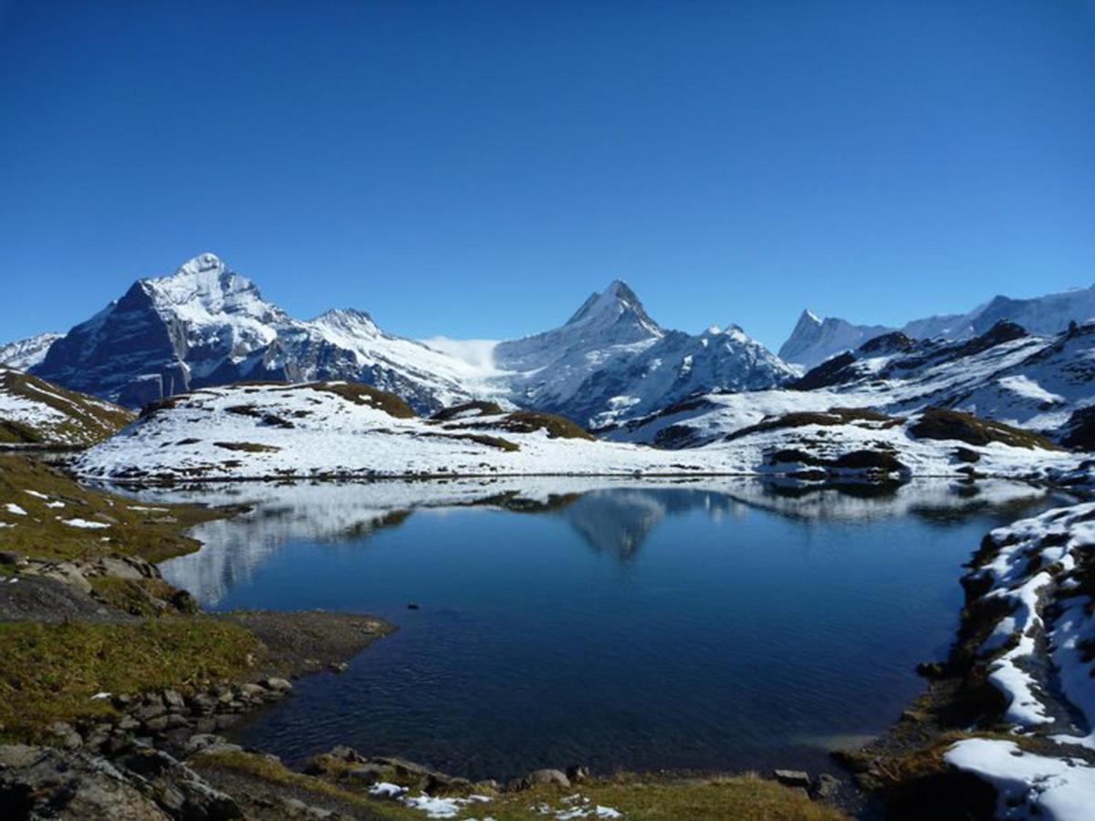 Luxury, New - Amazing Views Grindelwald Eiger Jungfrau Moench 아파트 외부 사진