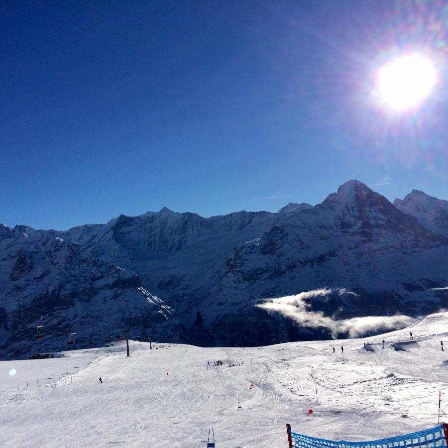 Luxury, New - Amazing Views Grindelwald Eiger Jungfrau Moench 아파트 외부 사진