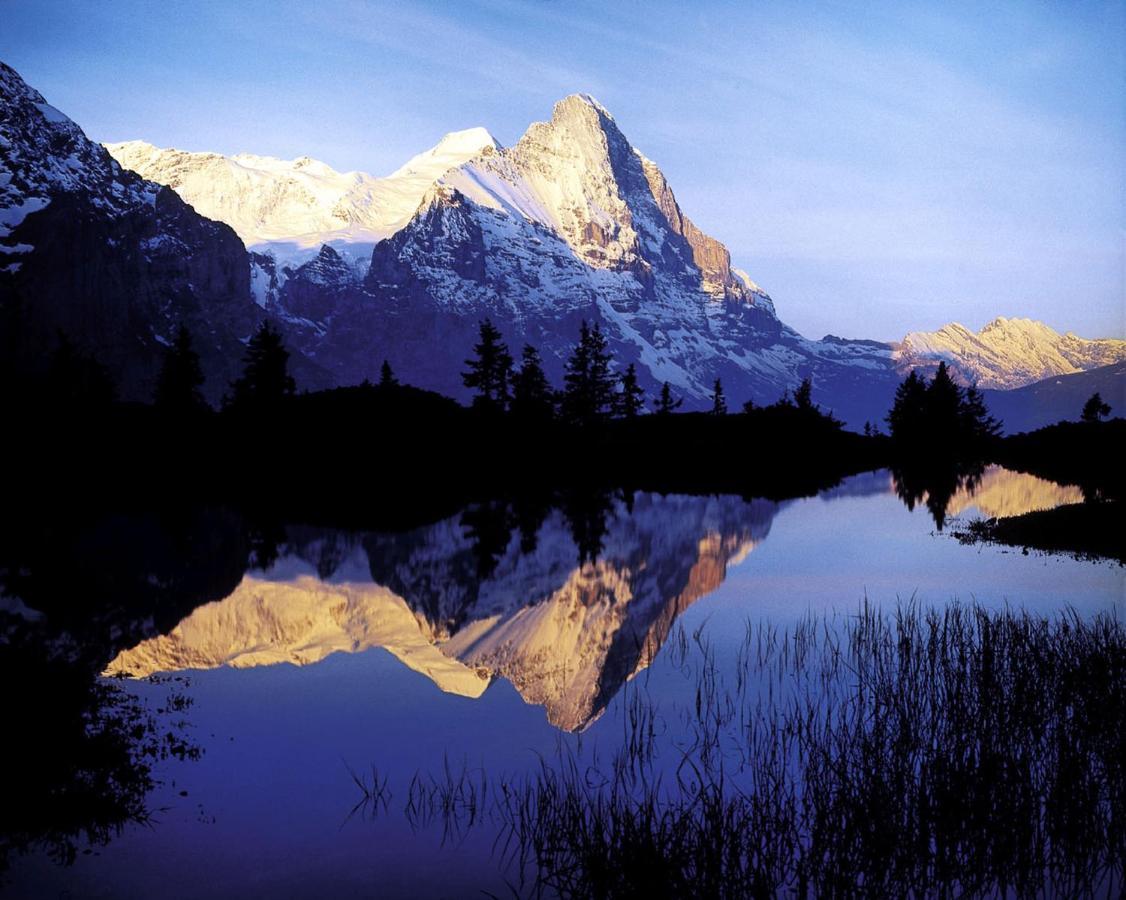 Luxury, New - Amazing Views Grindelwald Eiger Jungfrau Moench 아파트 외부 사진